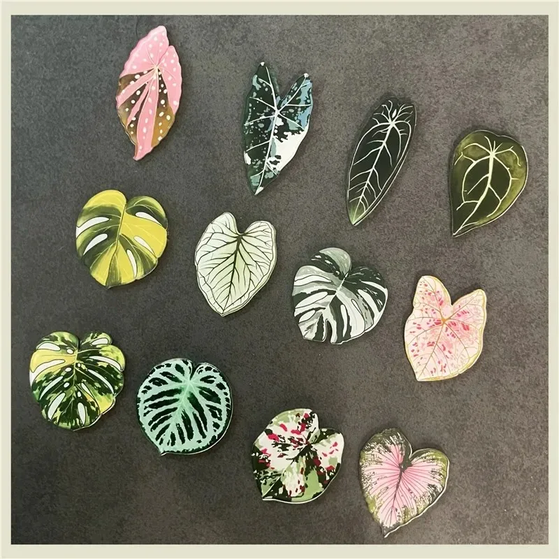 6Pcs Kawaii Tropical Plant Fridge Magnets Begonia Monstera Decorative Magnets for Refrigerator and Whiteboard