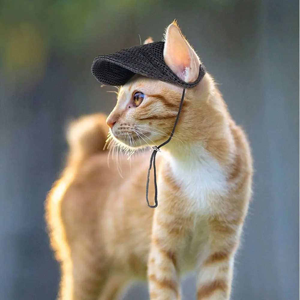 Sonnenhaube, einfarbig, für Haustiere, Baseballmütze mit Ohrlöchern, atmungsaktive Hundekappe, verstellbarer Sonnenschutz, Hunde-Sonnenhut, Sport