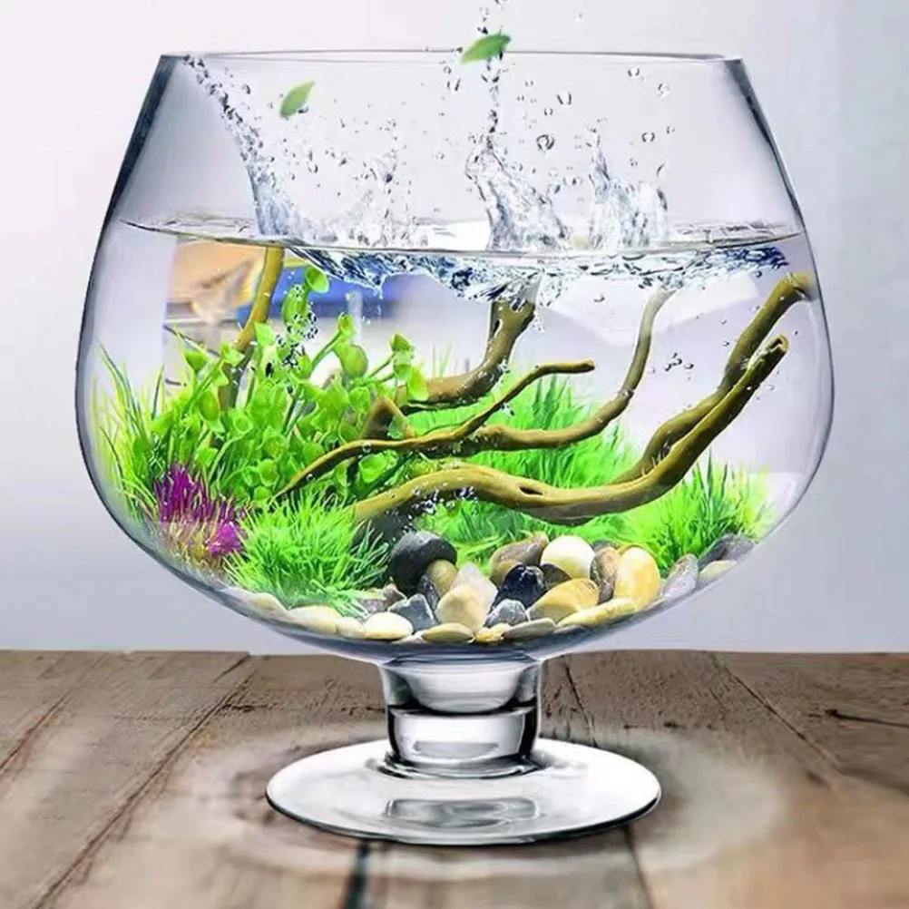 

Compact Glass Fish Tank for Desktop Home Decor Small Aquarium for Betta Fish Guppies Water Plants Centerpiece Clear Vase Style