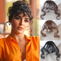 Flequillo de pelo liso rizado para mujer, Clip de estilo Natural, negro, marrón oscuro, marrón claro, fibra sintética resistente al calor, adecuado