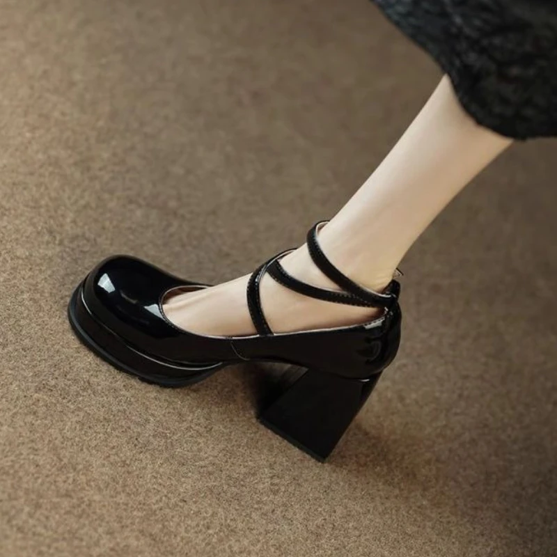 

Chunky Heel Mary Jane Shoes for Women 2025 New French Retro Round Toe Platform Leather Pumps