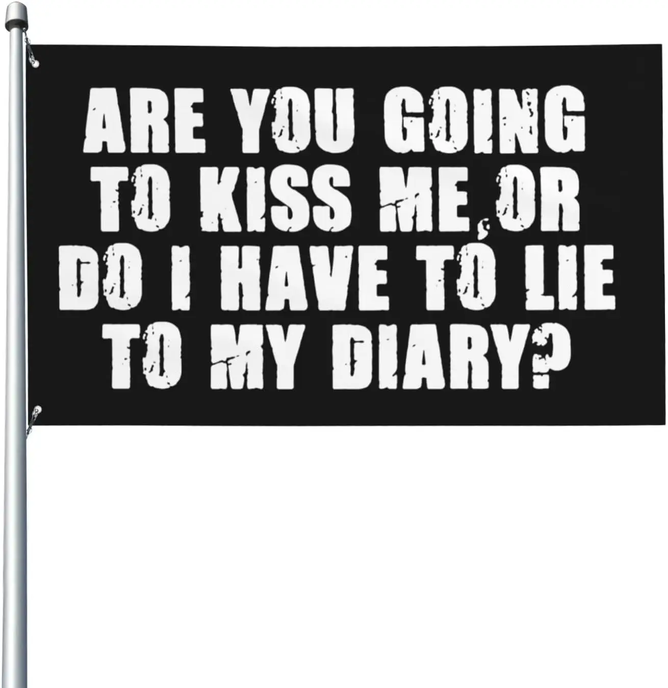 Flagicts 100% Polyester Are You Going To Kis-s-Me Or Do I Have To Lie To My Diary Flags
