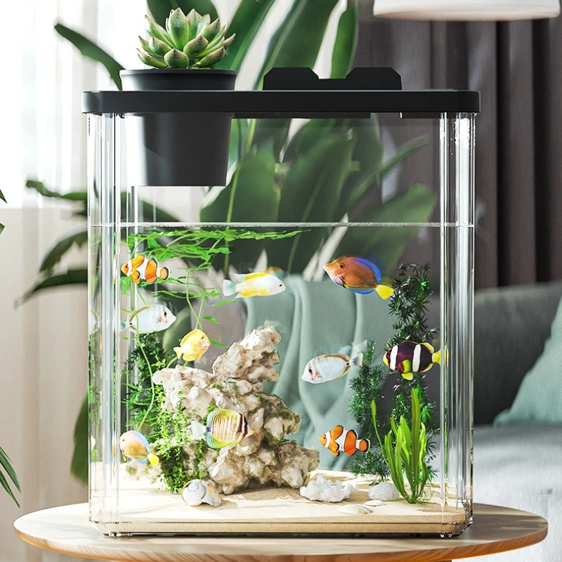 Thumbnail 4 - #13 Trending Desktop Fish Bowls Right Now