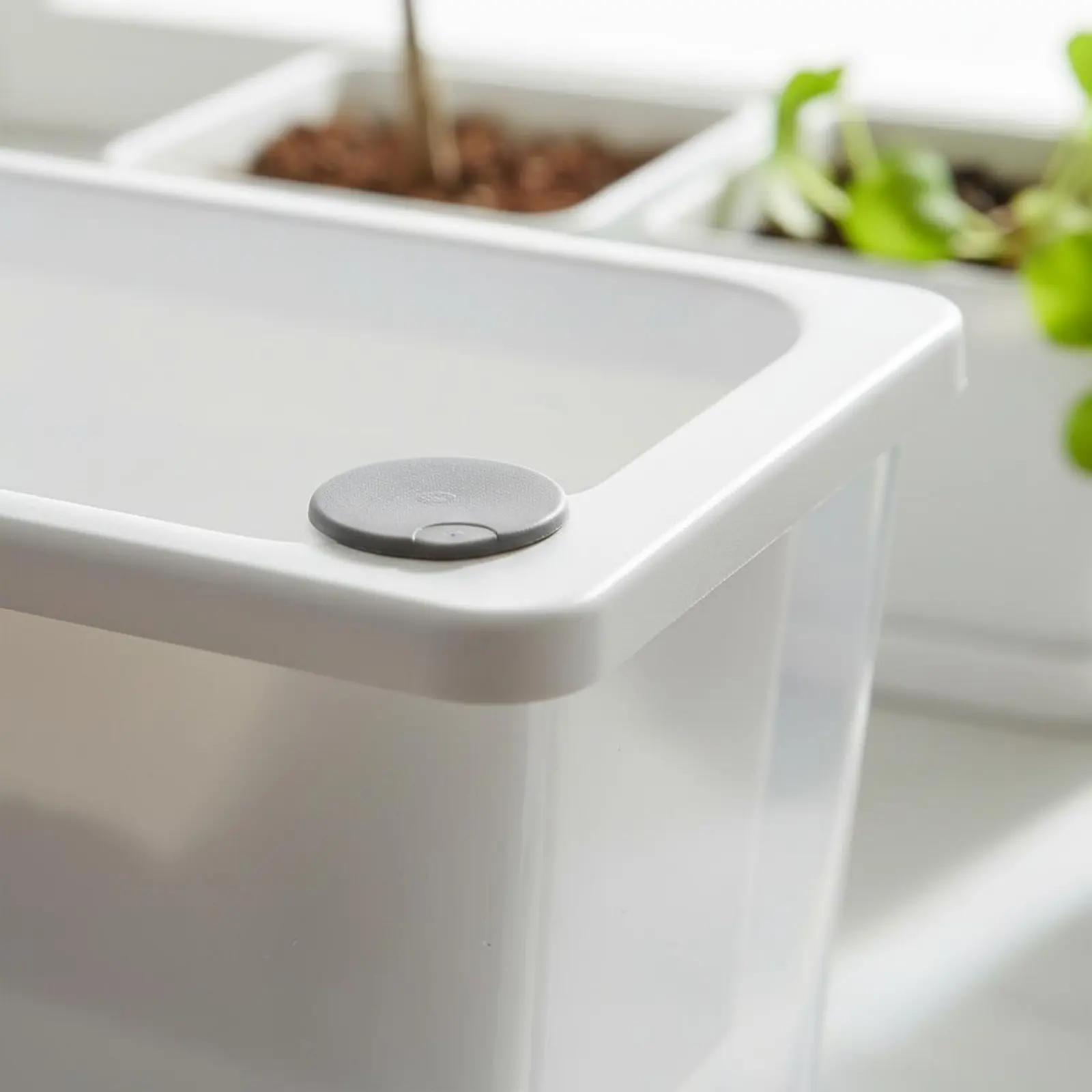 

Автоматический горшок для растений с функцией полива, прямоугольный, легкий, пластиковый, с отверстием для заливки воды