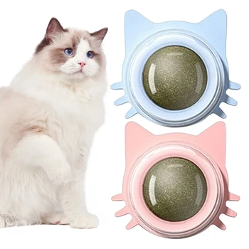 النعناع البري ألعاب الحائط للتدوير النعناع البري لعق الكرة القط لعب هريرة مضغ اللعب تنظيف الأسنان لعبة لدغة القط للقطط الداخلية