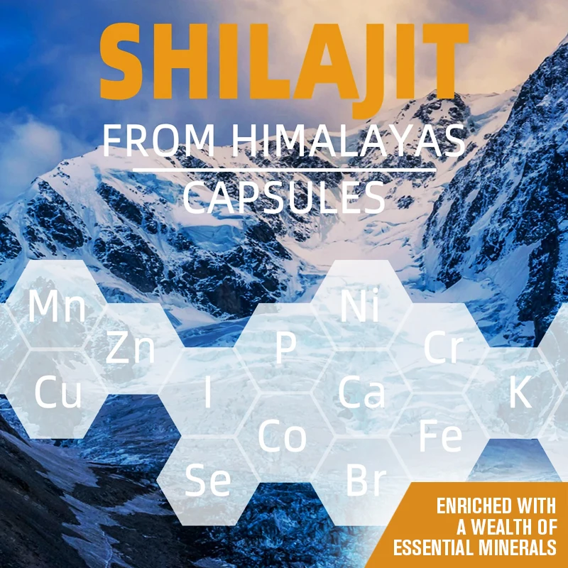 Extrait de capsules de Shilajit avec racine de ginseng Panax, et plus de production d\'énergie du système immunitaire, santé du cerveau et bien dans