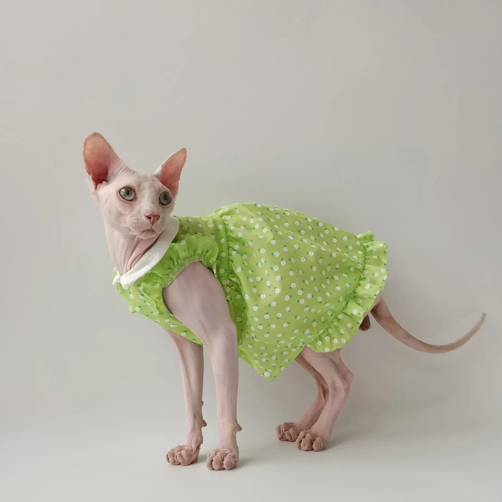 Sphinx Hairless Cat German Summer Thin Doll Neck Small Flower Skirt Fabric Breathable and Cute