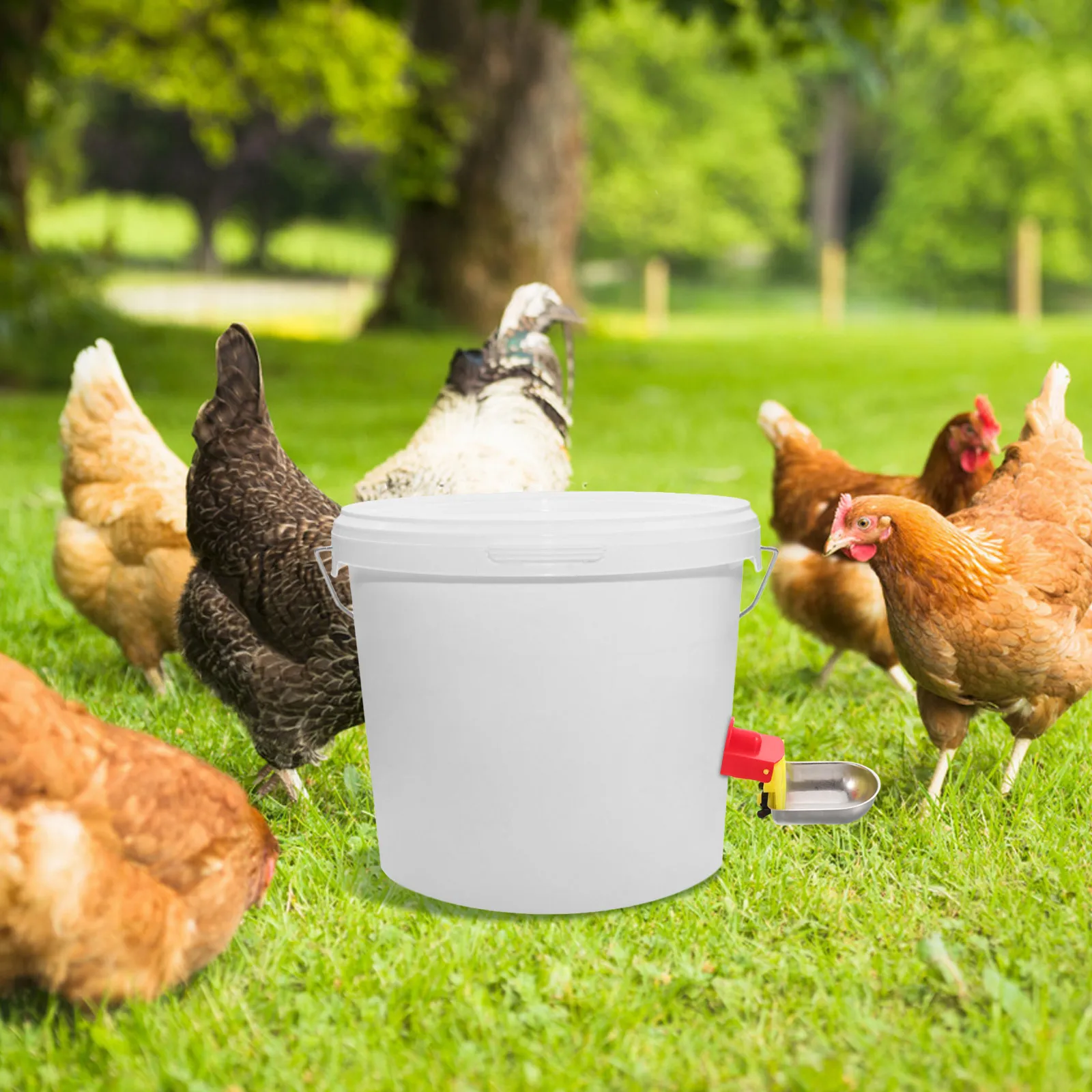 

Chicken Water Cups Automatic Poultry Drinking Bowl Stainless Steel Gravity Filling Water Feeder for Coop Bird Drinkers
