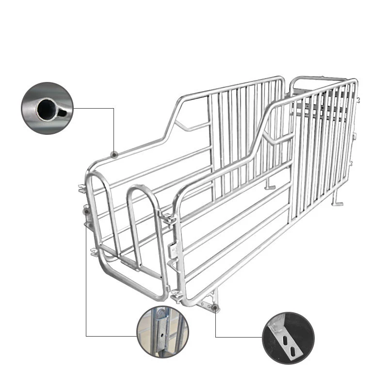 Promotion Gestation crate for pig hog barn feeding system piglets farm  livestock husbandry equipment