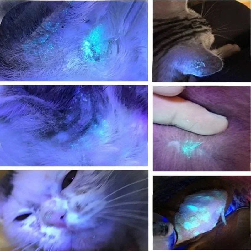 Lampe en bois, analyseur de peau, grossissement UV pour la beauté, test du visage, lampe en bois, détection d'analyse de la peau, soins personnels