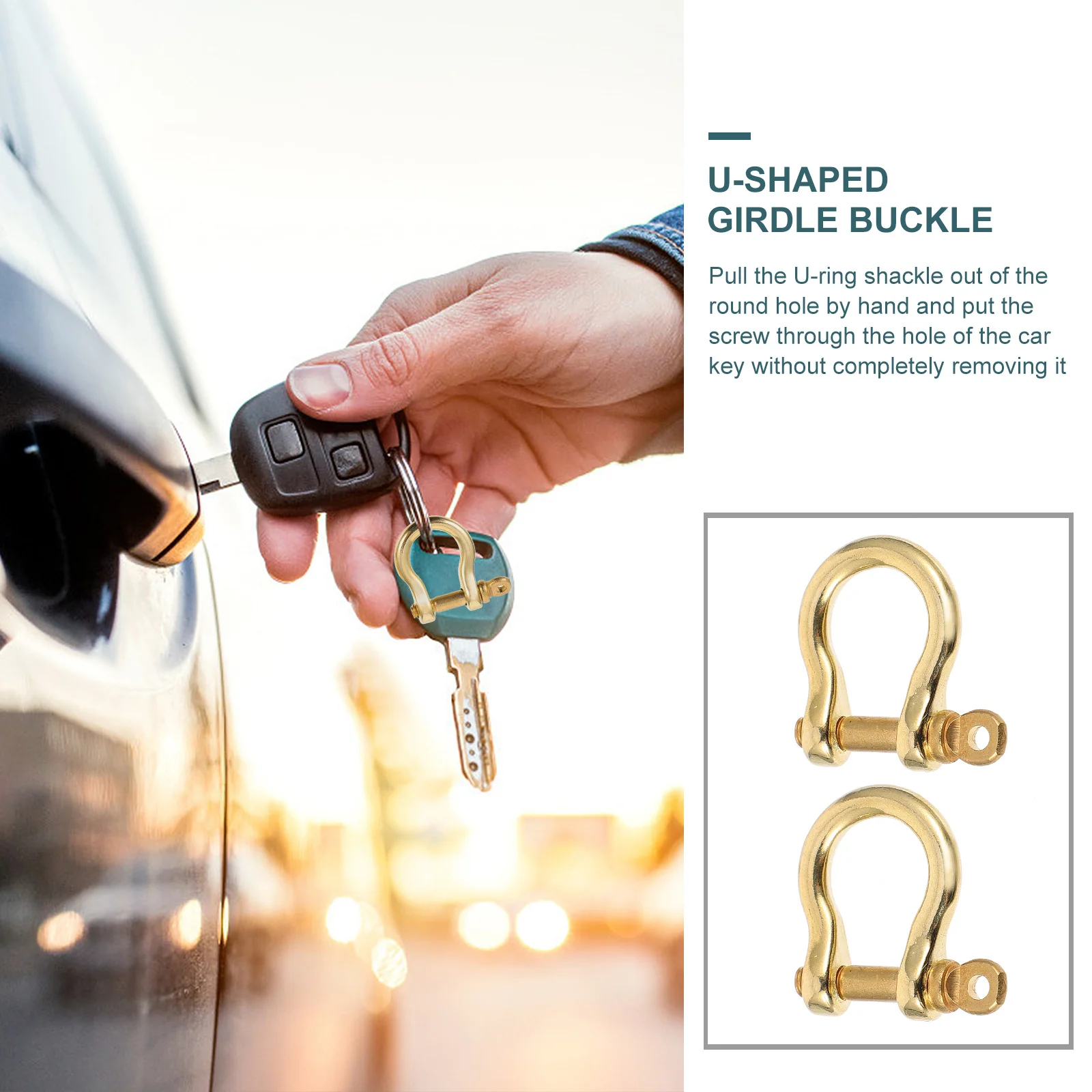 

2Pcs D-Rings U Shape Horseshoe Screw Shackles Closing Key Holder DIY Craft Accessories for Dog Collar Backpack Keychain