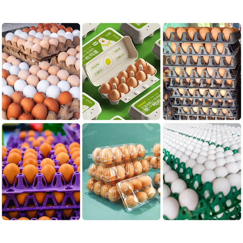 آلة تحميل صينية البيض آلة تعبئة بيض الدواجن آلة تعبئة بيض الدجاج الصغيرة للصينية #6
