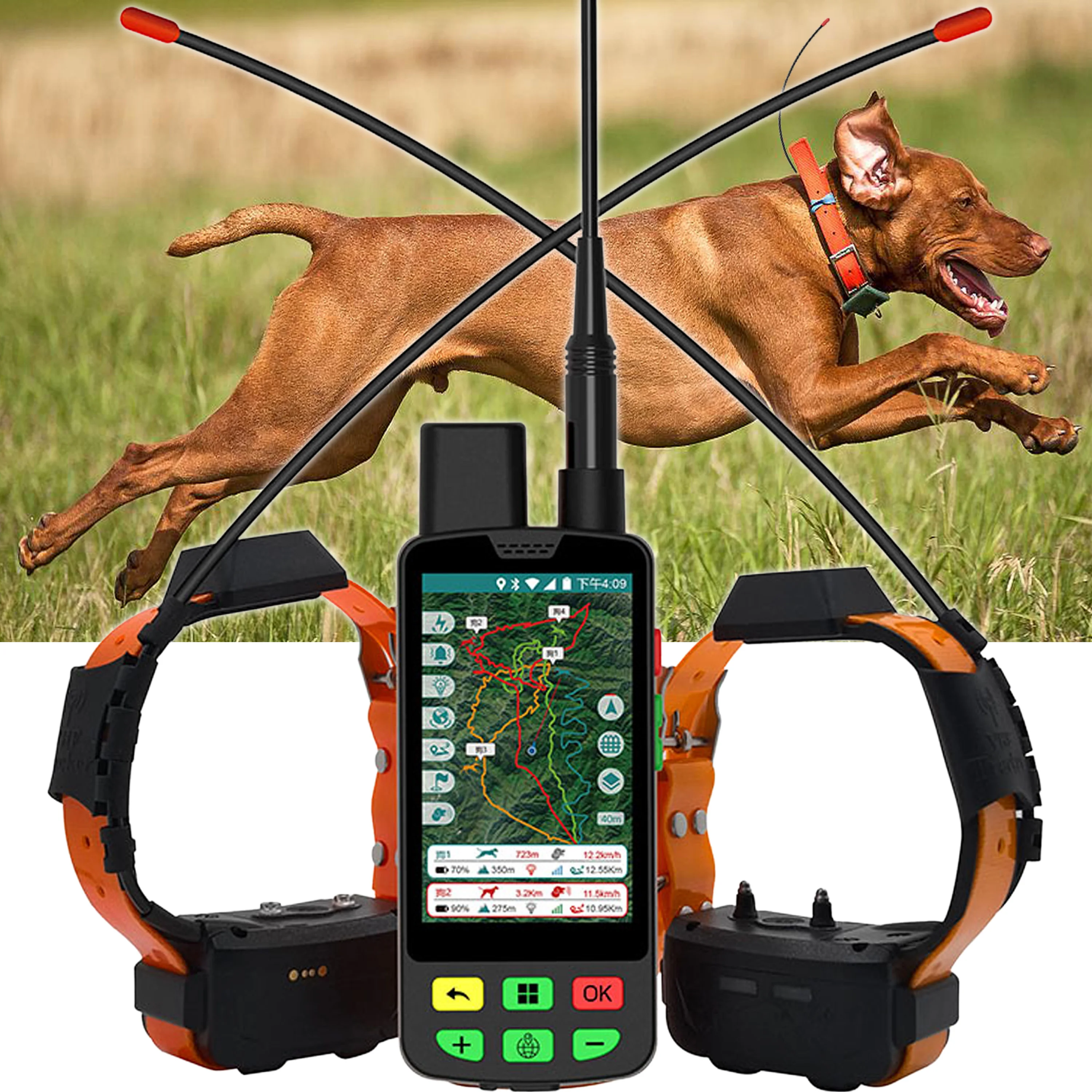 Dog Activity Tracker Monitor | Real-Time Positioning | Bulk Discount | Duck Hunting