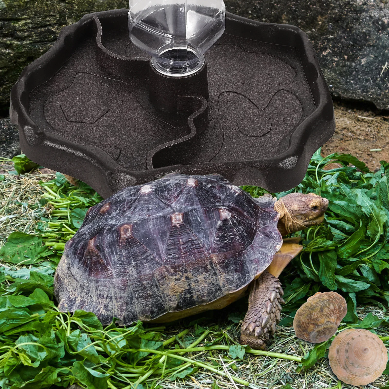 

1Pcs Automatic Small Pet Feeder Feeding Bowl for Lizard Turtle Reptile ABS Sturdy Water and Food Container Lizard Feeding Bowl