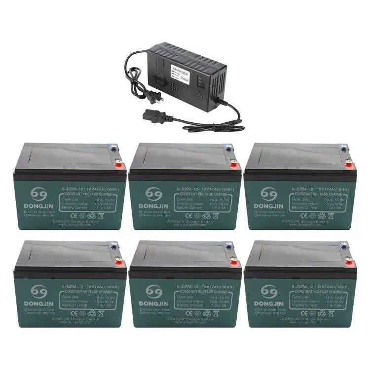 6Pack 6-DZM-12 12V …