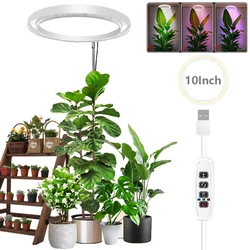 LED Full Spectrum Plant Growing Lamp, plantas de interior, altura ajustável, regulável, grande, Plant Light com temporizador, 10