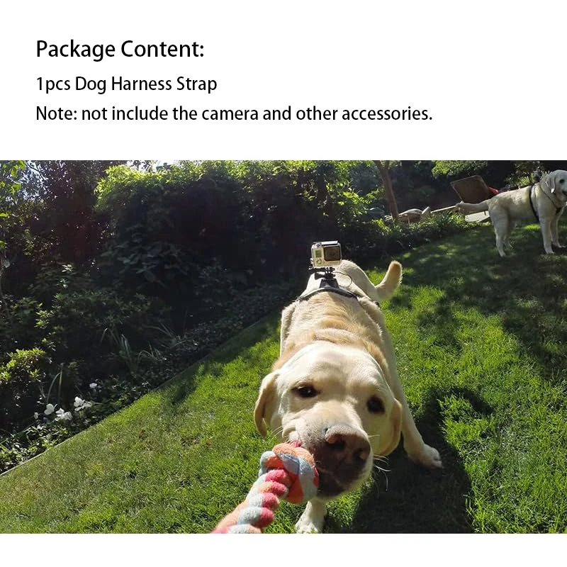 Imbracatura per cani Gopro, supporto per imbracatura per cani Gopro morbido e regolabile per cani di taglia grande, media e piccola può essere