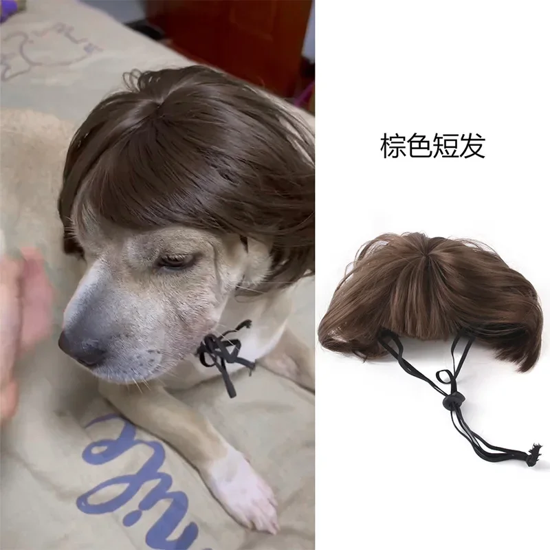 Pet Dog wigs supplies Halloween accessories Curly hair Straight Cat wigs