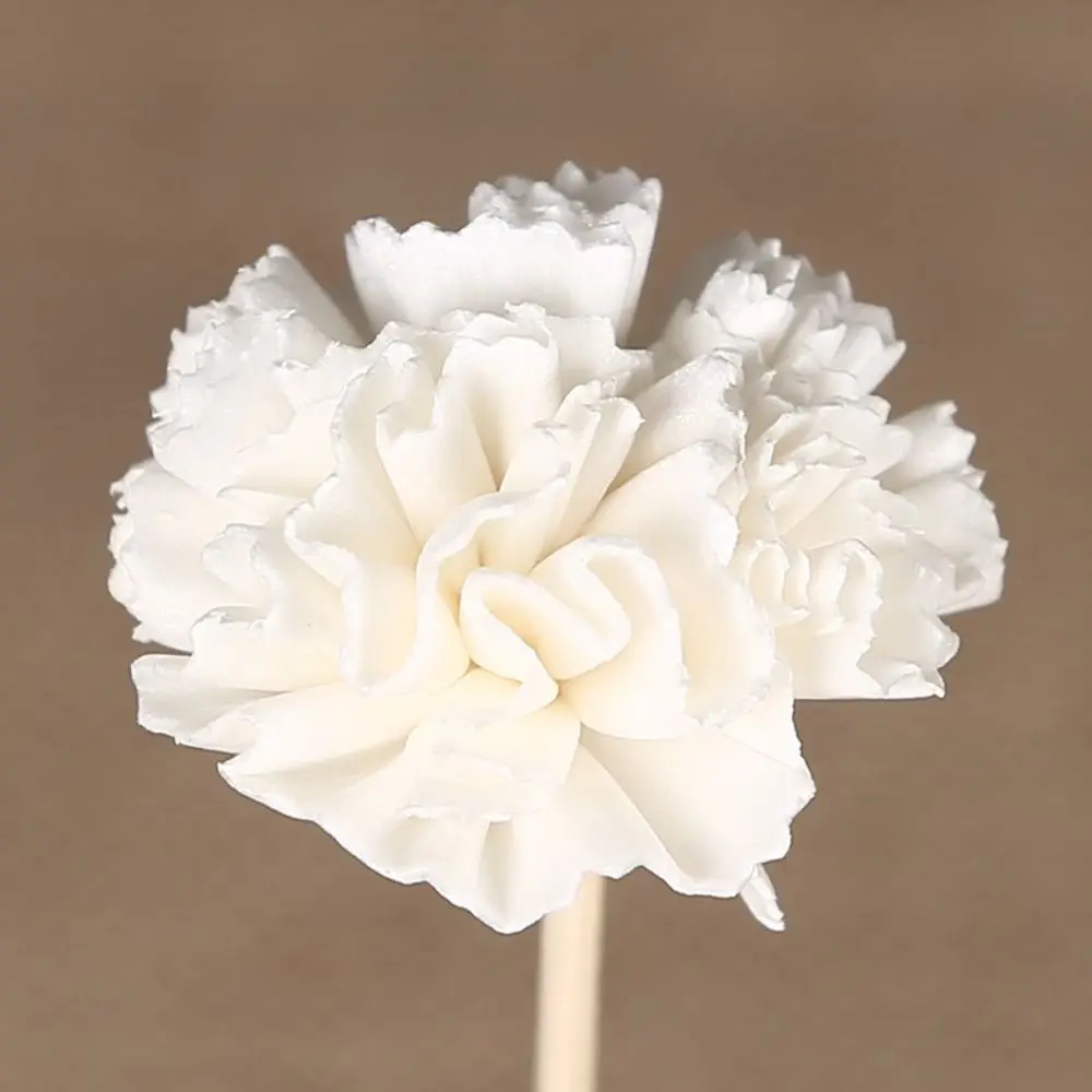 Creative Dyeable For Home For Aromatherapy Living Room Natural Tongcao Flower Dried Flowers Diffuser Sticks Aromatic Incense