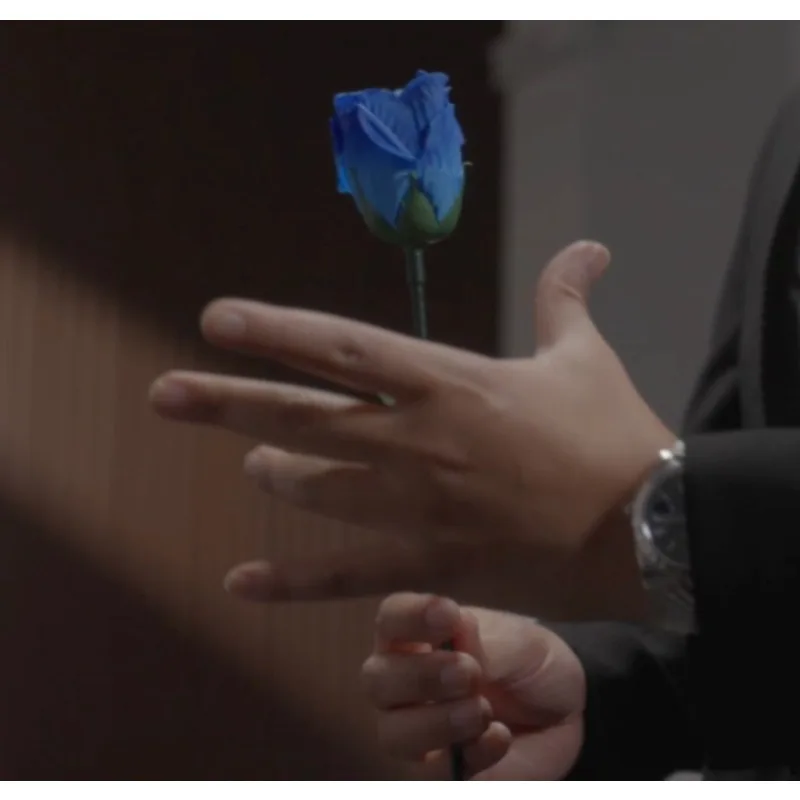 Bond Lee Eternal Rose Magic Trick – 4 Color Changing Roses Appear Vanish Disappear, Visual Flower Stage Magic Props Magician