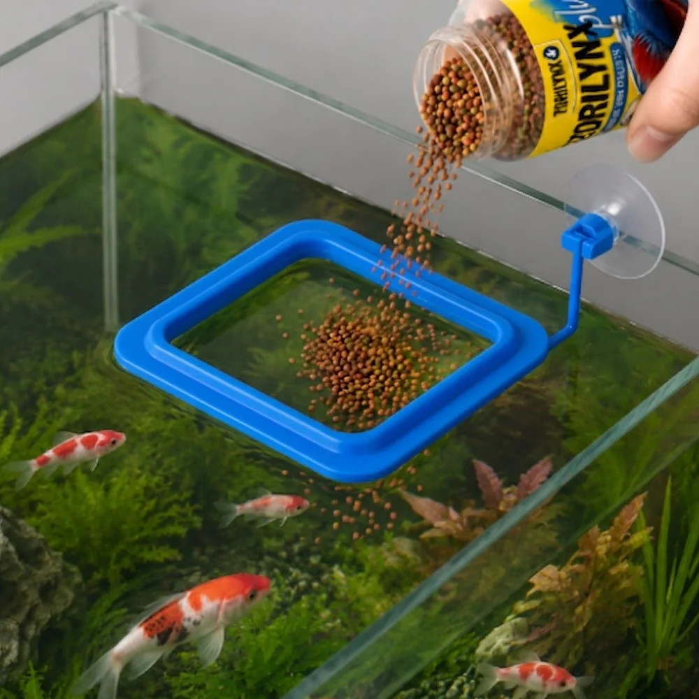 Fish Food Pellets with Floating Feeding Ring Kit for Betta Goldfish Tropical Fish Nutrient Color Enhancer Set ZORILYNX Plus