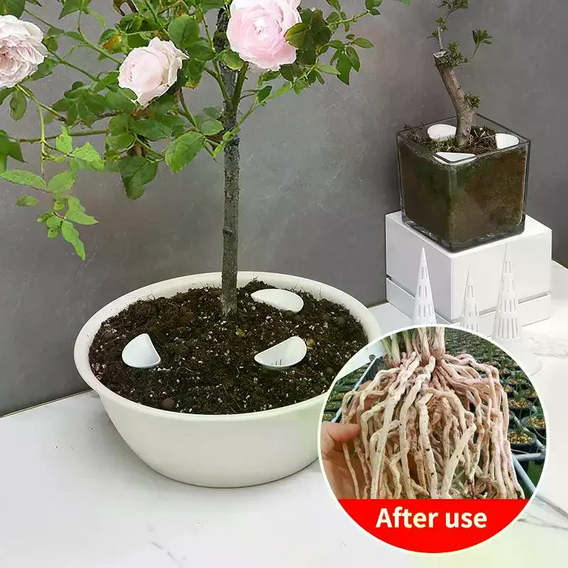 Bonsai Plant Soil Aeration Device Conical Watering Spike Breathable Root Irrigator for Home Office Garden 3pcs