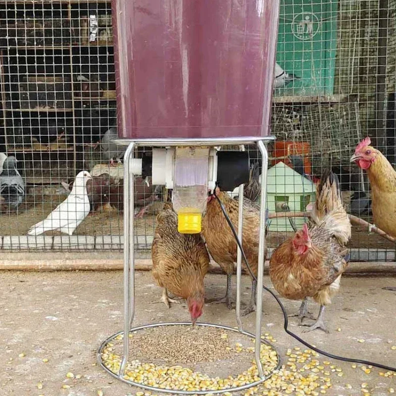 Solar poultry automatic timing feeder chicken, duck, goose, pigeon trough fish pond feeder