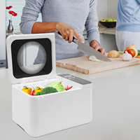 Ultrasonic Fruit Vegetable Cleaning Machine, Household Food Remove Pesticide Residues Washer Fruit Vegetable Food Purifier