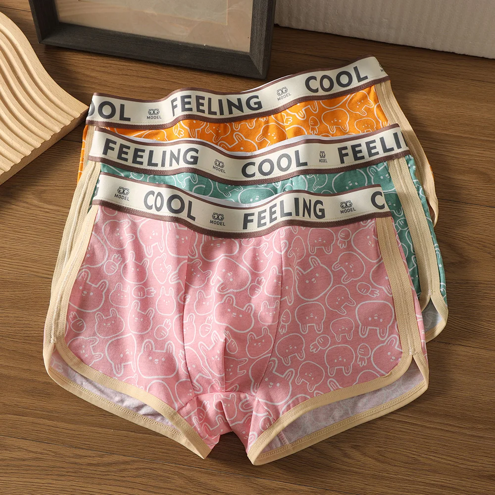 

3PCS/Pack Romantic Cartoon Rabbit Print Men's Panties Skin-friendly Comfort 95% Cotton Underpants 3D Breathable Pouch Underwear