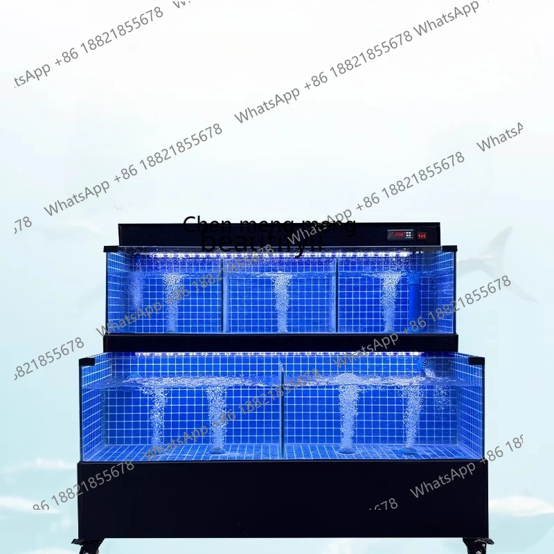 E153 Seafood pond Commercial fish tank Oxygen circulation Filtration Integrated hotel  Hotel special double layer freshwater