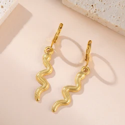 Teamer Shining Snake Dangle Earrings for Women Girls Stainless Steel Punk Vintage Hoop Earrings Jewelry 2026 New Year Gift