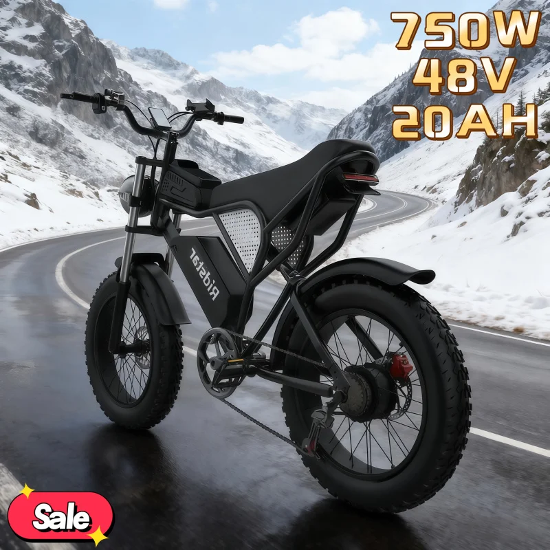 

New 750W motor electric bicycle 48V20AH long life battery 20-inch high carbon steel double shock absorption adult E-Bike