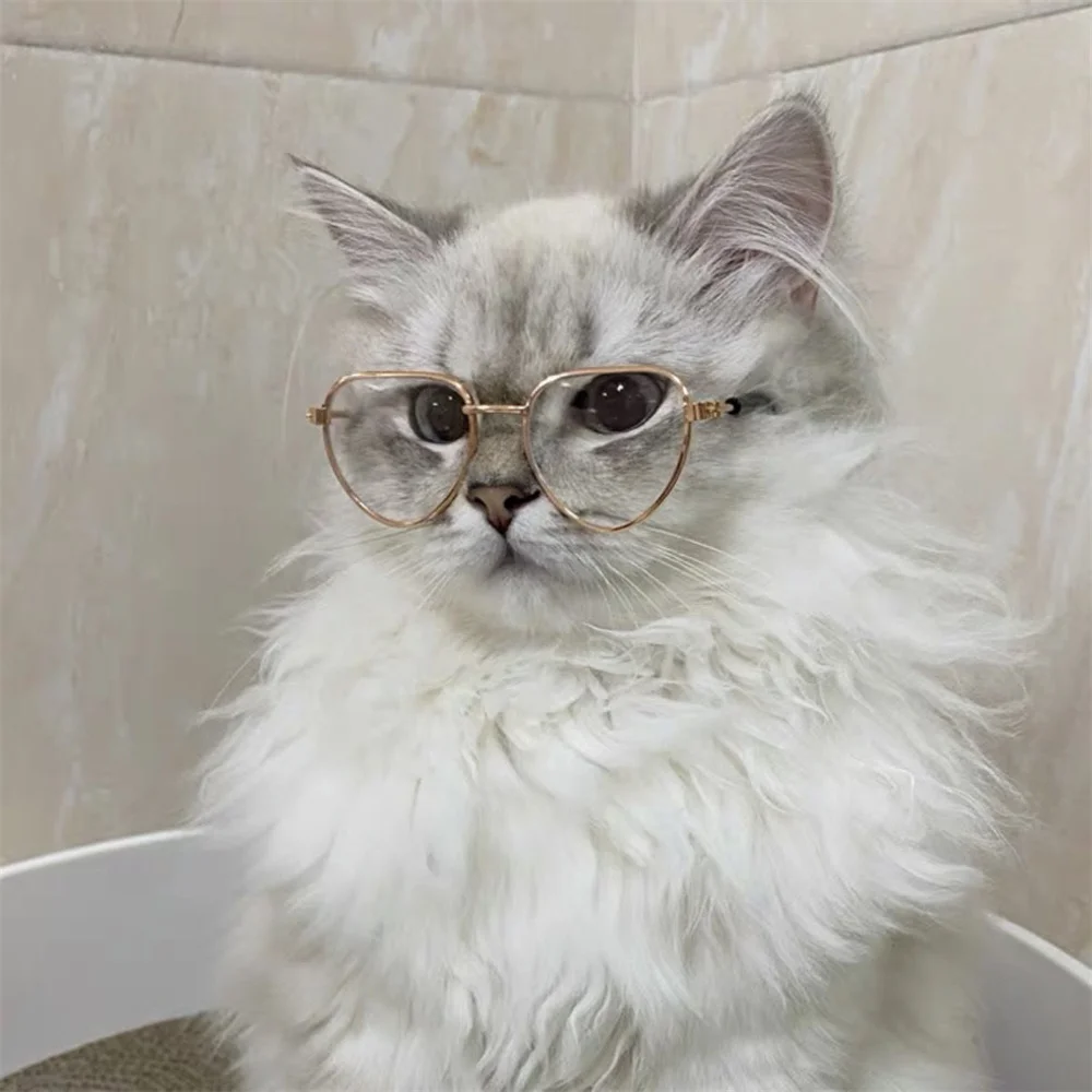 Óculos reflexivos transparentes em forma de coração para gatos, Cool Kitten Óculos, Pet Acessórios, Sphynx, Persian Produtos