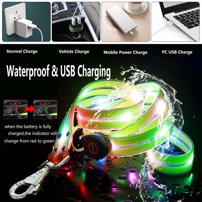 Correa para perro con luz LED USB recargable, ajustable - imagen 5