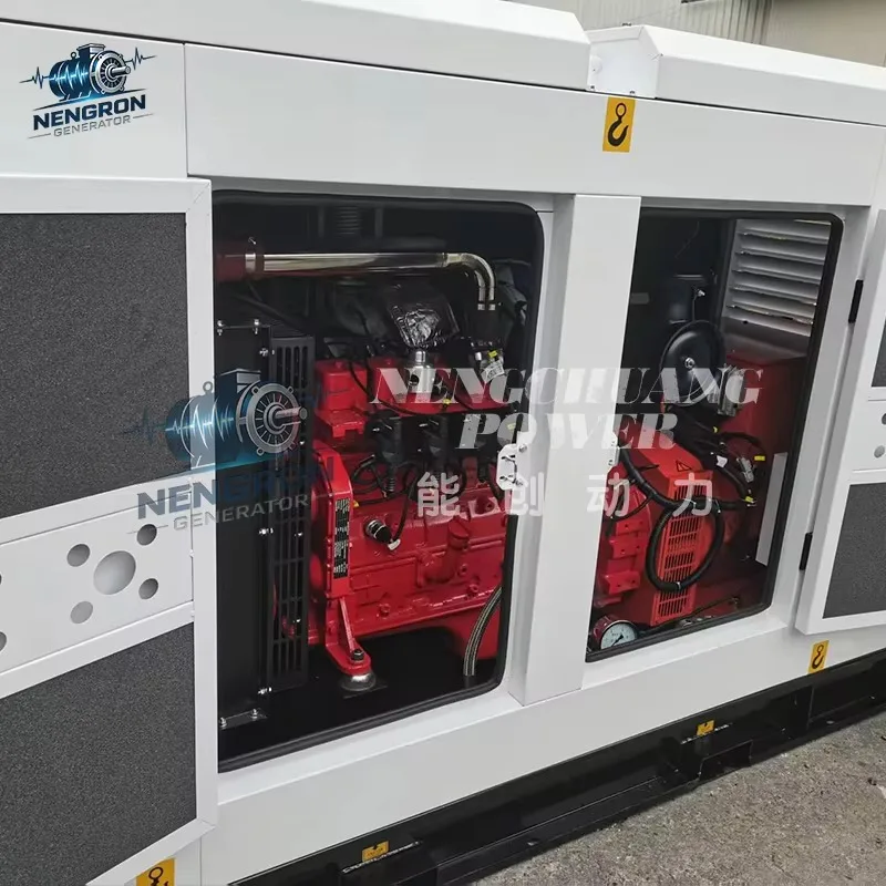 Customized  80kW Natural Gas Generator AMF Panel Auto Mains Failure For Bank Government Building CE Approved