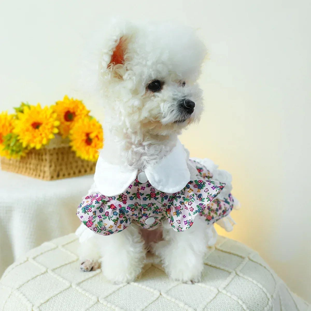 Pet Clothes Dog and Cat Clothing Cute Breathable Comfortable and Cool Princess Tutu Dress Chihuahua Spring Tea Party Dress Up