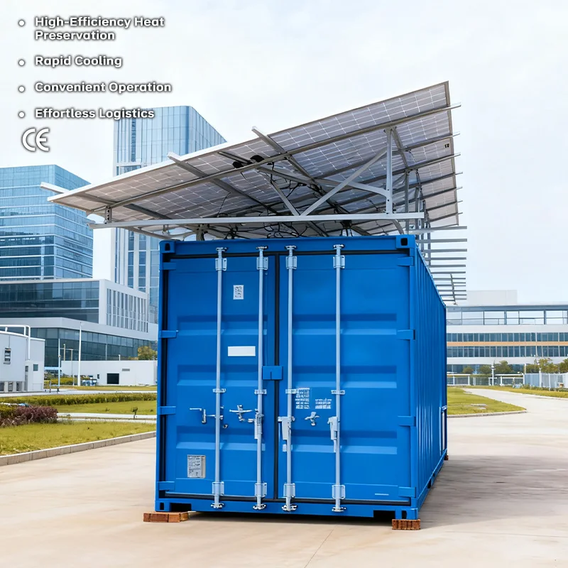 Market Stall Commercial Solar Container Cold Room Compact Solar Equipment Delivers Low-Cost Cooling For Street Side Frozen Fruit