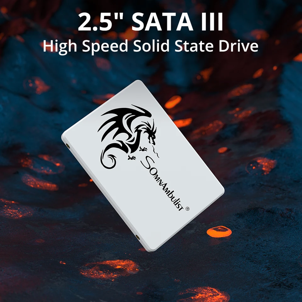 512GB SSD 2.5インチ SATA SomnAmbulist SomnAmbulist SSD 2.5 64GB 128GB 256GB 512GB 1TB for Laptop Desktop