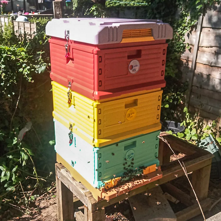 HDPE Langstroth 3 Layer 10 Frame Beehive Thermal Plastic Insulated Bee Hives