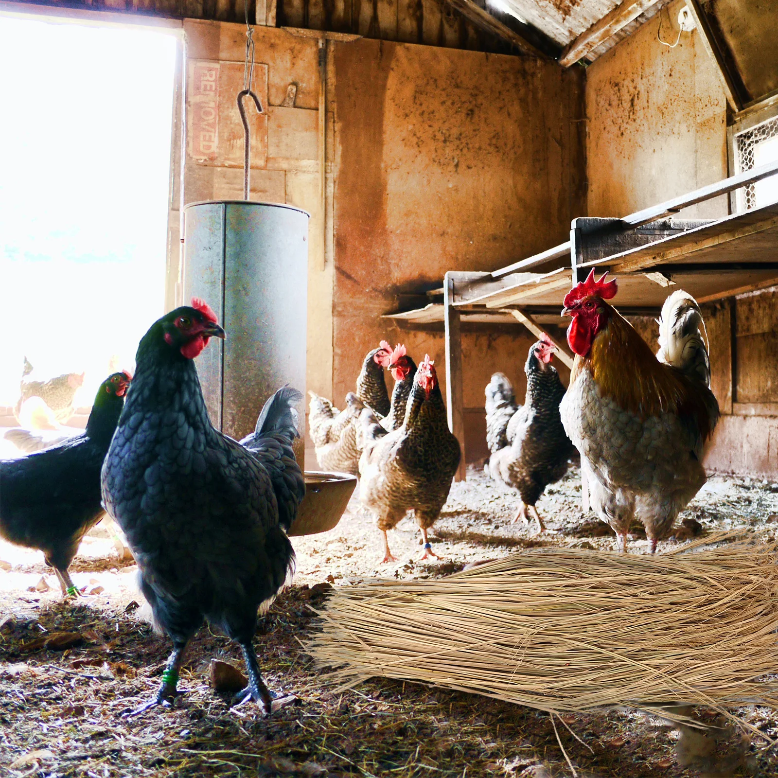 

1Set Natural Straw Bedding Chicken Nest Pads Comfortable Hen Nest Liners Chicken Coop Accessories Poultry Nesting for Eggs