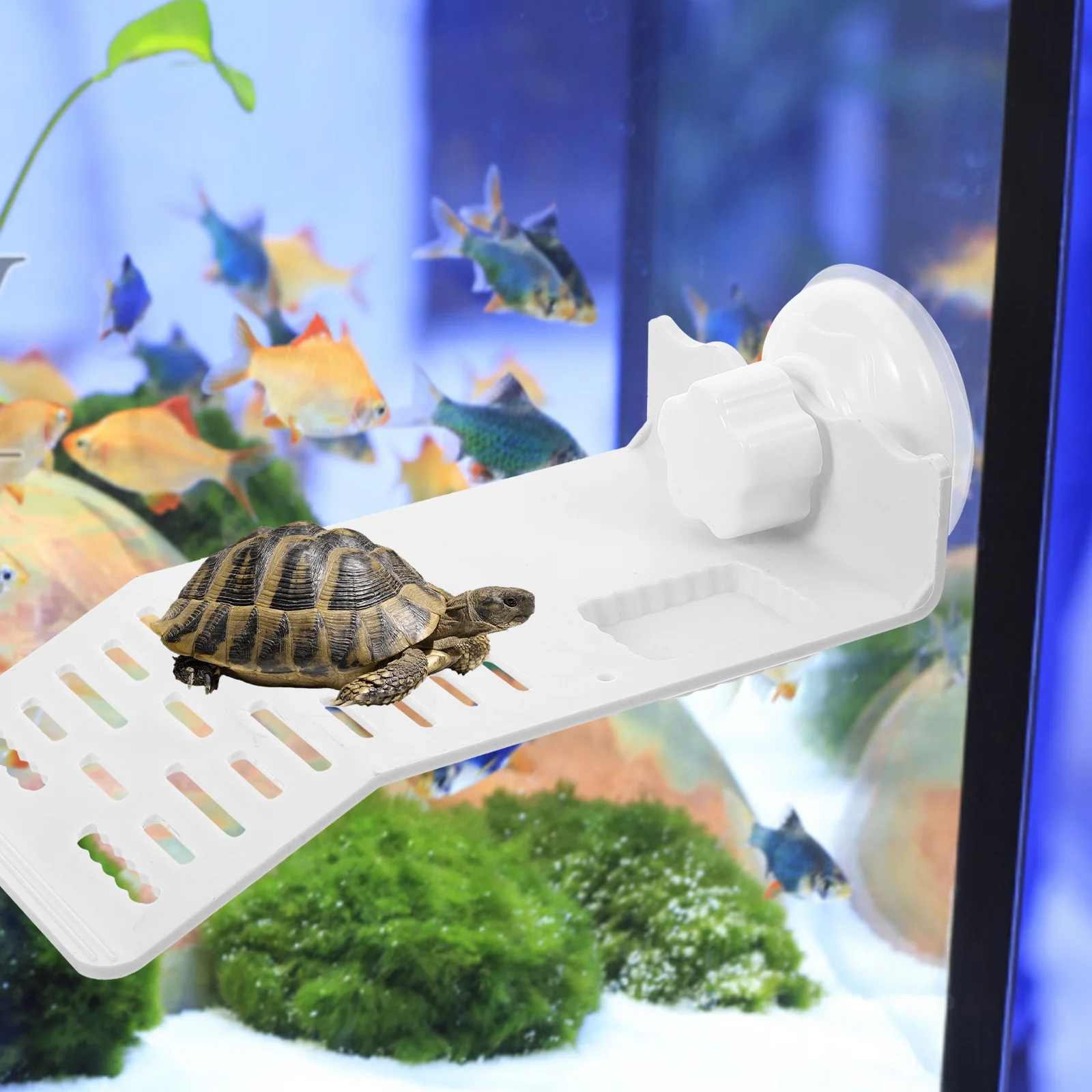

Turtle Basking Platform Plastic Climbing Suction Cup Small White Size Habitat Decor Supplies Floating Island Reptile Sunbathing