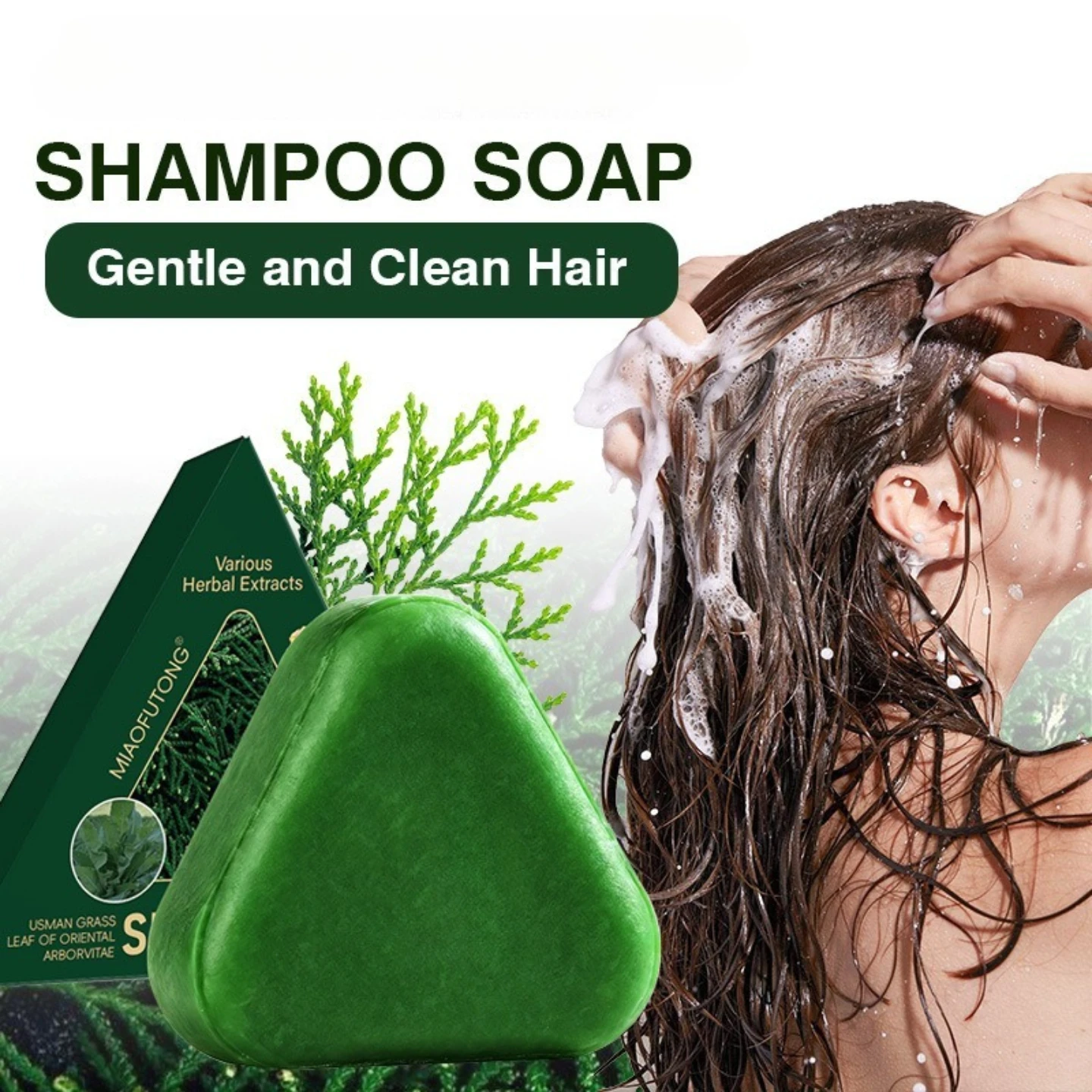 Arborvitae Leaf Herbal Shampoo Cleansing Moisturizing Oil Control Anti-dandruff Anti-drying Promote hair growth Improve frizz