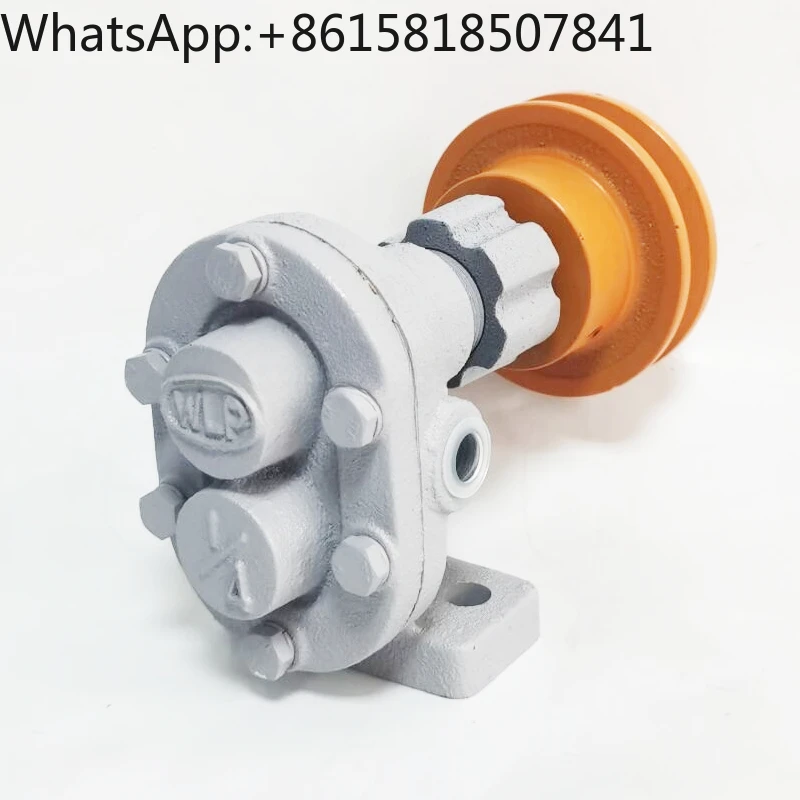 External gear pump, 1/8 1/4 screw oil pump head, tooth rubbing oil pump, machine tool lubricating oil pump