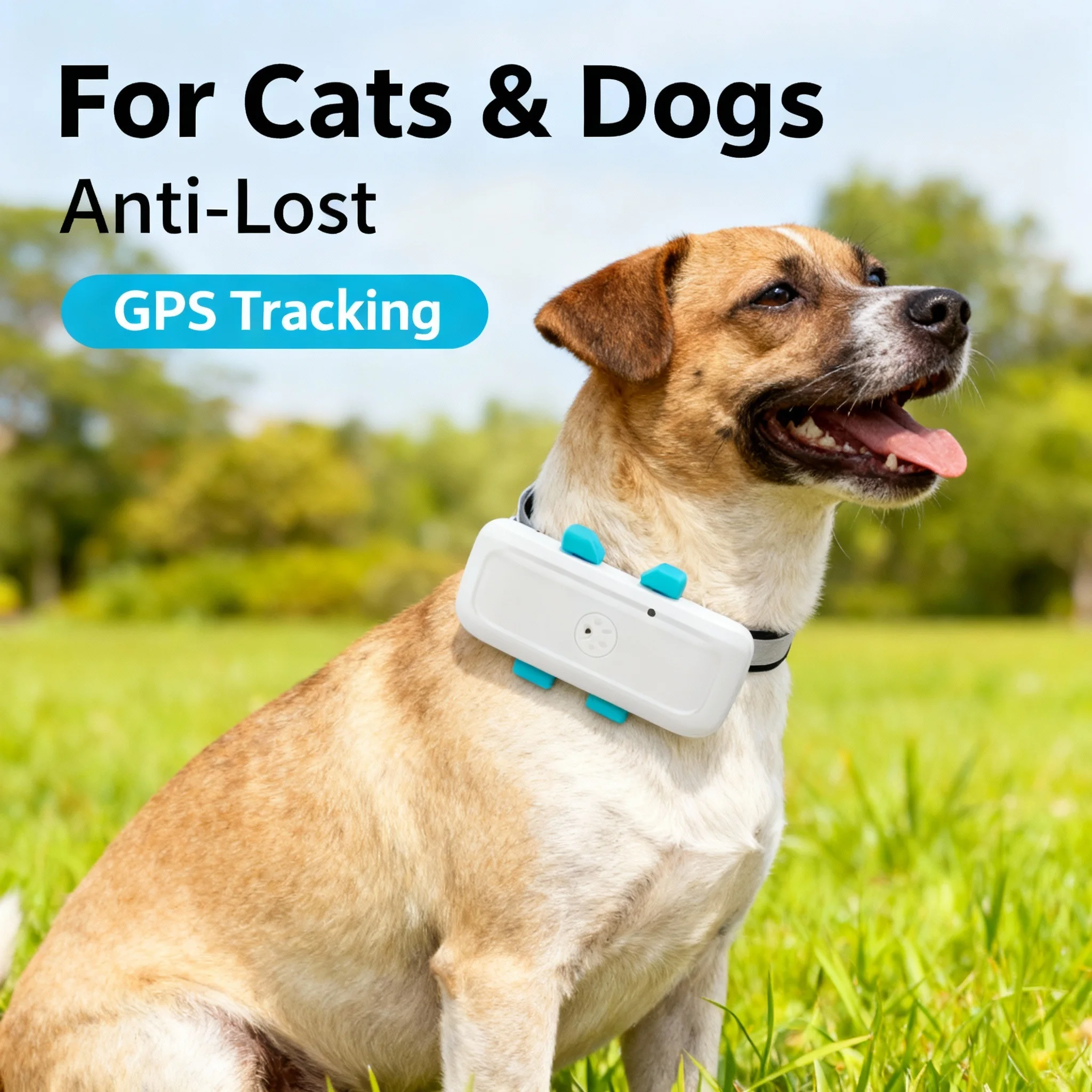 Beidou Cat and Dog Tracking Positioning Tracker, Pet Locator, Anti-Lost, Waterproof Collar, 4G