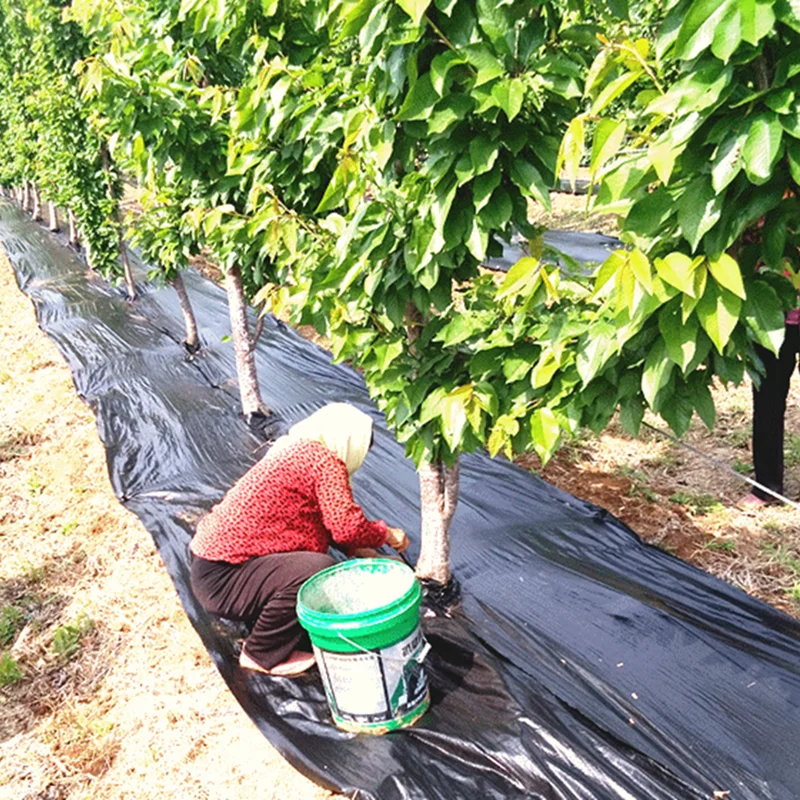 Rolnicza mata z barierą dla chwastów zorientowana na tkanina na trawę, czarna plastikowa ściółka grubsza tkanina kontrolna ogród sad