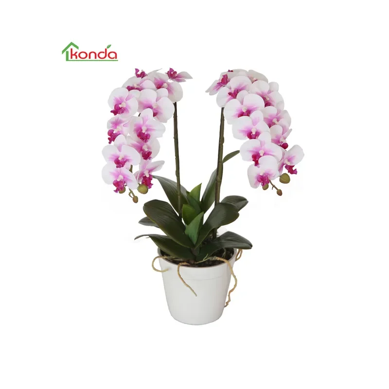 Handmade Latex Artificial Butterfly Orchids for Home Decoration Import From China
