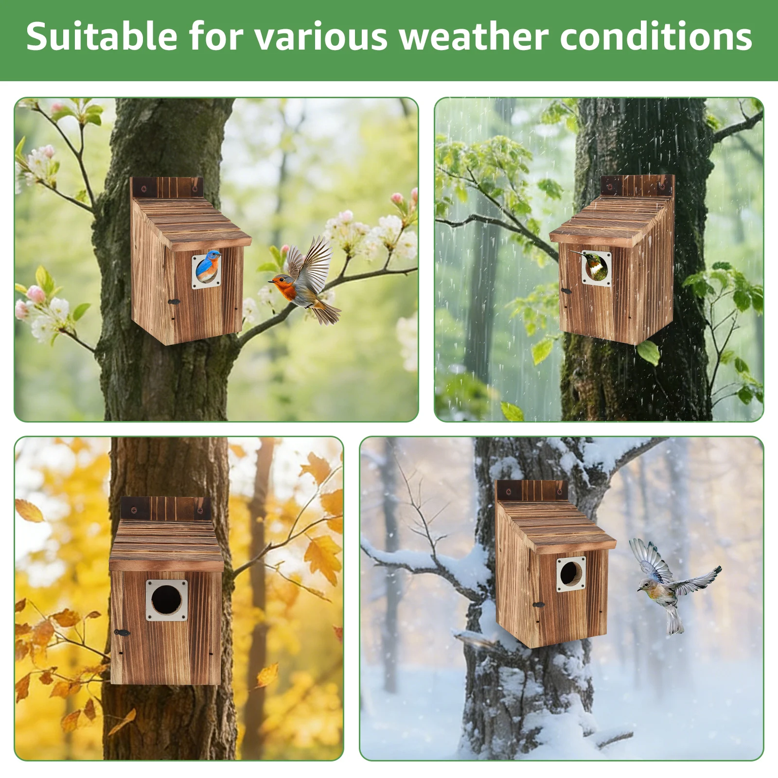 Thumbnail 4 - #15 Compare Birdhouses Before You Buy