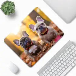 French Bulldog Mouse Pad Small Mouse Pad 300x250x2mm Desk Mat Computer Mousepad Gaming Accessories Deskmat Mouspad Mausepad