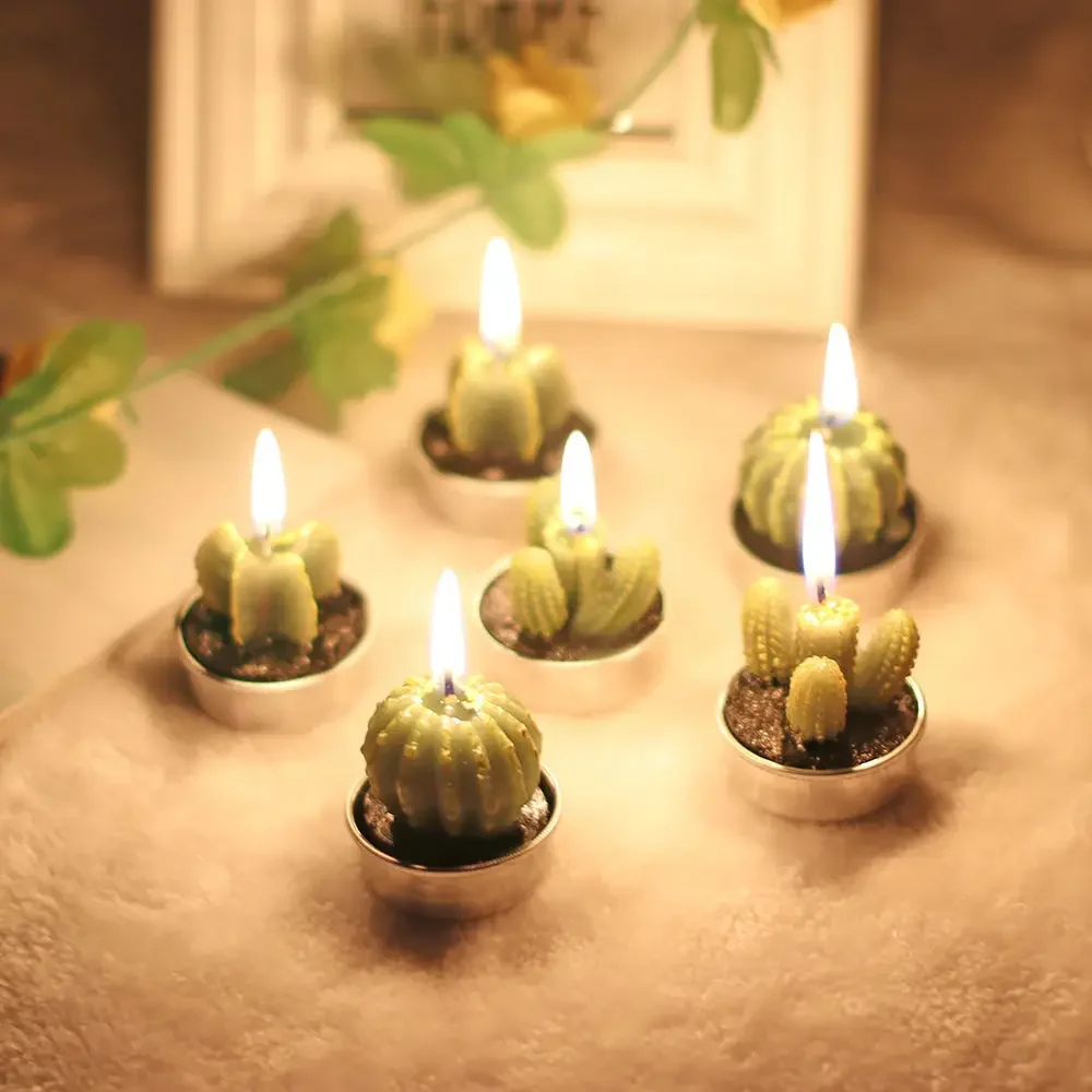 6 Creative Scented Candles in Sets Mini Cactus Meaty Birthday Candle Personalized Instagram Style Smokeless Hand Gift Candle
