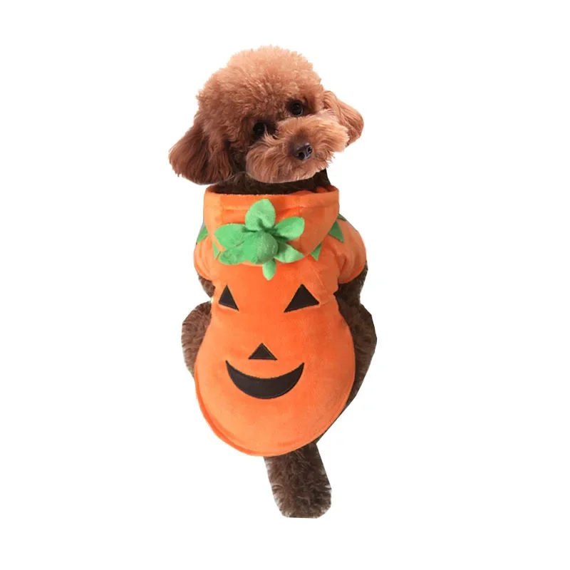 Haustier kleidung, Kürbis, lustige Kleidung, niedliche Halloween-Kleidung, Hunde kleidung